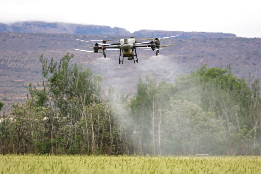 Agricultural spraying drone hovering over a maize field in rural Africa, technician standing nearby with a tablet,...